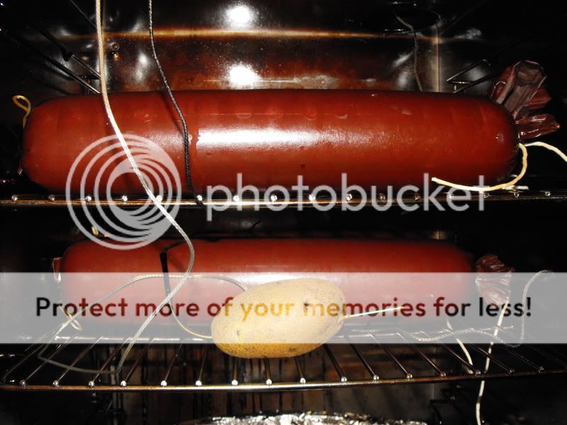 masterbuilt electric smoker summer sausage
